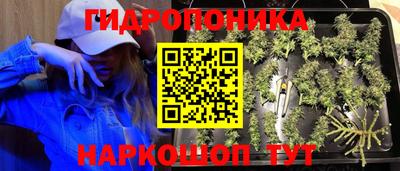 трава Заволжье