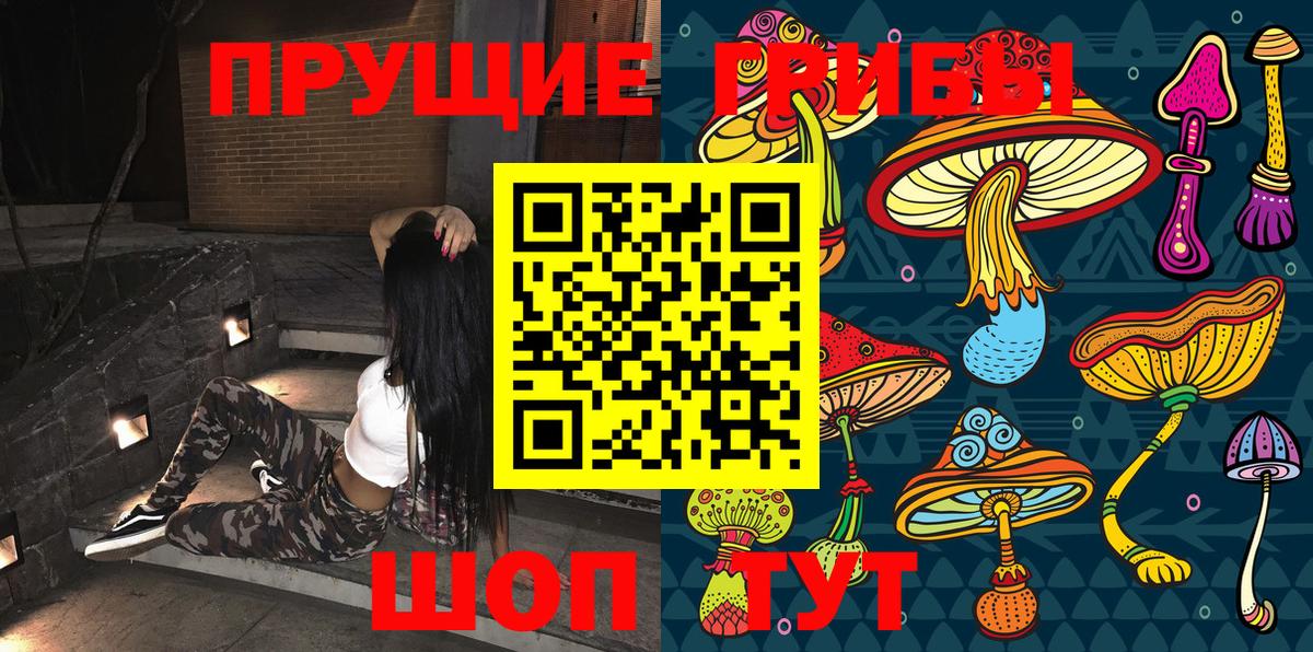 Псилоцибиновые грибы мицелий  Галлюциногенные грибы мухоморы  Краснознаменск  Вход с VPN 