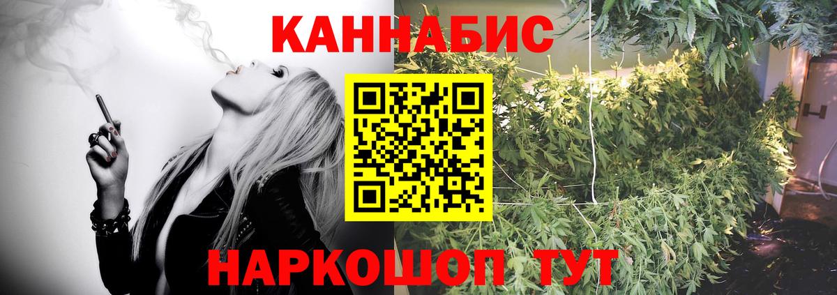 Конопля гибрид Краснознаменск